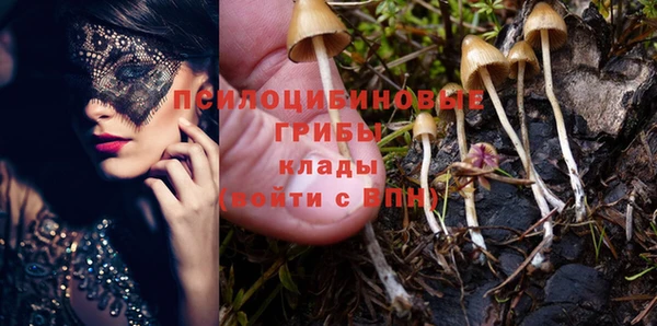 дурь Белоозёрский