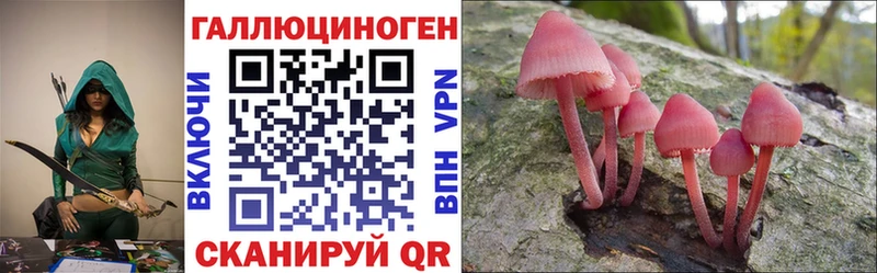 Псилоцибиновые грибы GOLDEN TEACHER Купить Боровск